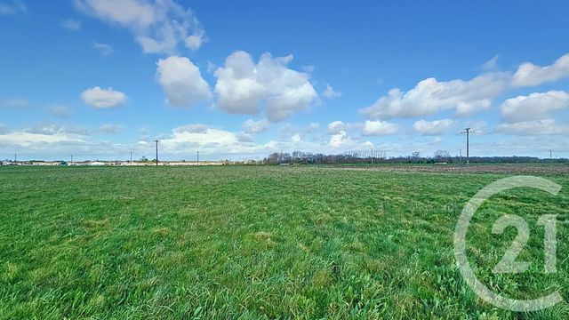 terrain à vendre - 1484.0 m2 - LUCON - 85 - PAYS-DE-LOIRE - Century 21 Solution Immobilière